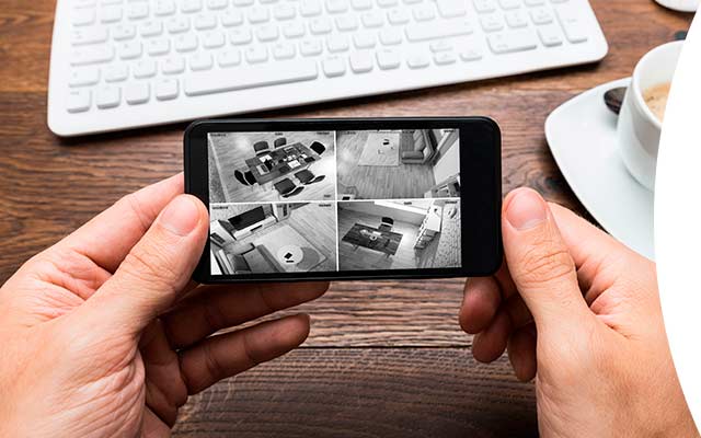 Video Seguridad